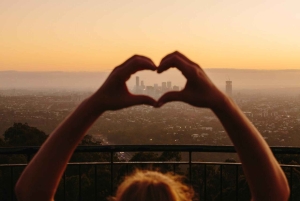 Alpaca Feeding with Wildlife Nature Park Visit Private Tour