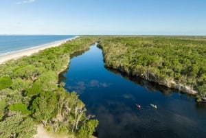 Bribie Island: 4WD, Kayak, and WWII Bunker Tour