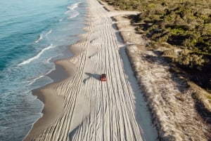 Bribie Island: 4WD, Kayak, and WWII Bunker Tour