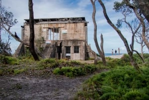 Bribie Island: 4WD, Kayak, and WWII Bunker Tour