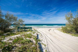 From Brisbane: Bribie Island Day Trip and 4x4 tour