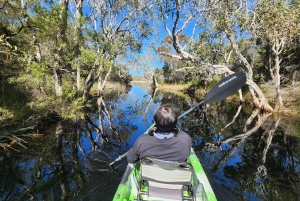 Bribie Island: Sea to Table 4WD, Kayak, & Seafood Lunch Tour