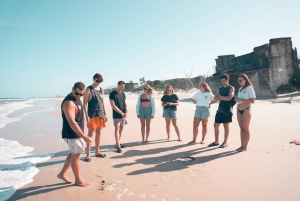 Bribie Island: Sea to Table 4WD, Kayak, & Seafood Lunch Tour