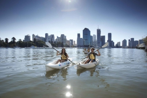 Brisbane: 2-Hour Kayak Hire on Brisbane River