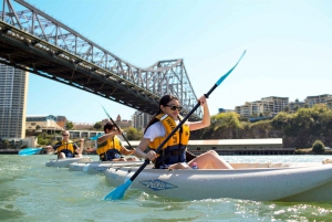 Brisbane: 2-Hour Kayak Hire on Brisbane River