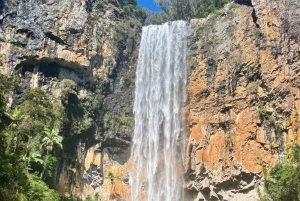 Brisbane: 7 Waterfalls, Wildlife and Natural Bridge Day Tour