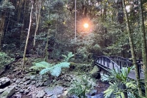 Brisbane: 7 Waterfalls, Wildlife and Natural Bridge Day Tour