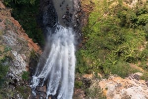 Brisbane: 7 Waterfalls, Wildlife and Natural Bridge Day Tour