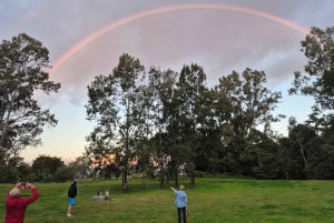 Brisbane: Aboriginal Boomerang Throwing Class with Pickup