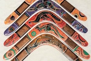 Brisbane: Aboriginal Boomerang Throwing Class with Pickup