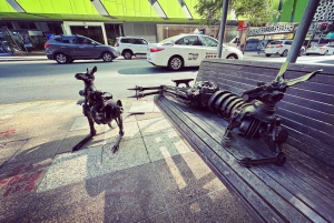 Best of Brisbane Walking Tour | Small Group & snack