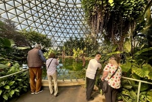 Brisbane Bus Tour: City highlights & Mt Coot-tha Lookout