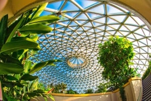 Brisbane Bus Tour: City highlights & Mt Coot-tha Lookout