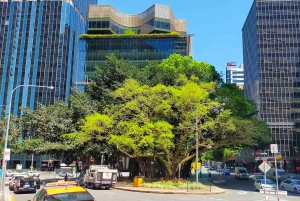 Brisbane City Walking Tour | Small group | 100 minutes