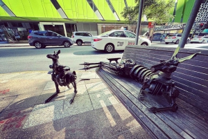 Brisbane City Walking Tour | Small group | 100 minutes