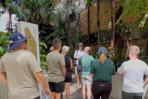 Brisbane City Walking Tour | Small group | 100 minutes