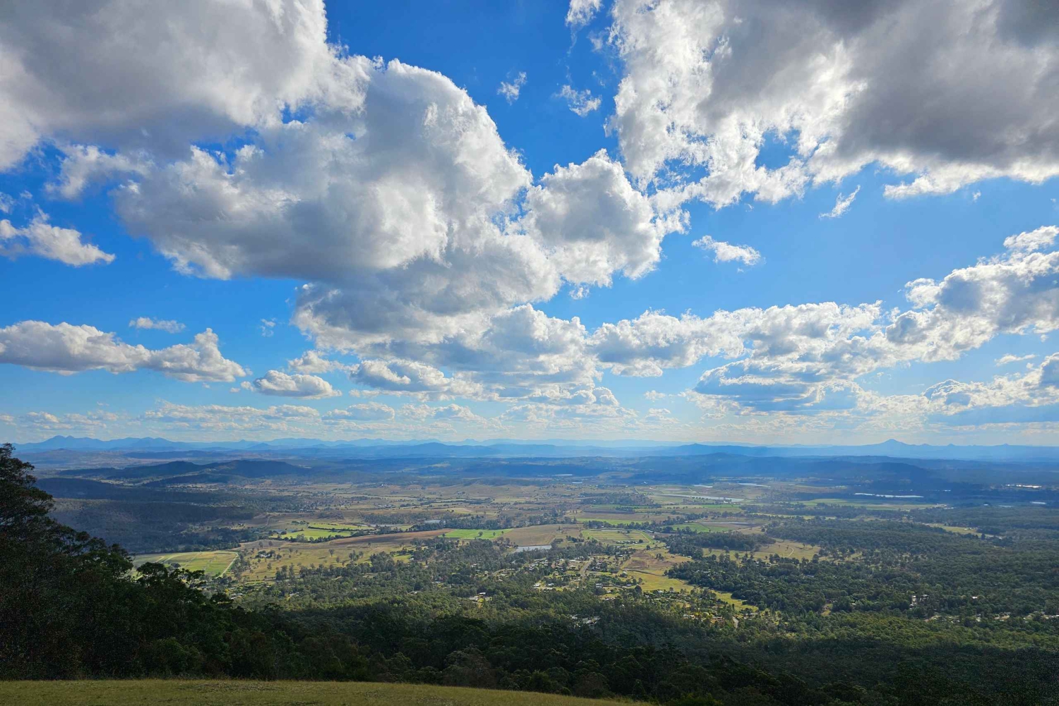 Brisbane Departure : Explore Tamborine Mountain Day Tour