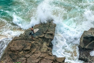 Brisbane: Eumundi Markets, Noosa Hinterland & Sunset Cruise