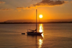 Brisbane: Eumundi Markets, Noosa Hinterland & Sunset Cruise