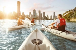 Brisbane: Guided River Kayak Tour
