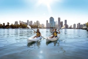 Brisbane: Guided River Kayak Tour