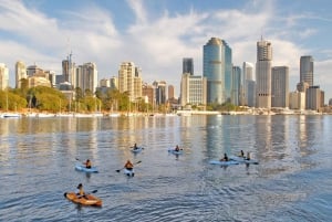 Brisbane: Guided River Kayak Tour