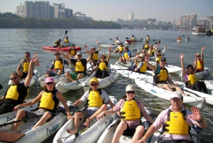 Brisbane: Guided River Kayak Tour