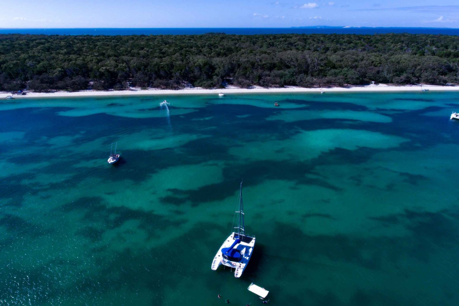 Brisbane: Half-Day Moreton Bay Sailing Cruise with Antipasto