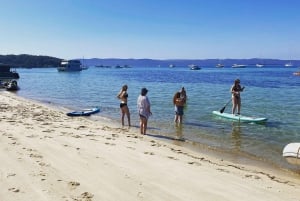 Brisbane: Half-Day Moreton Bay Sailing Cruise with Antipasto