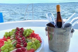 Brisbane: Half-Day Moreton Bay Sailing Cruise with Antipasto