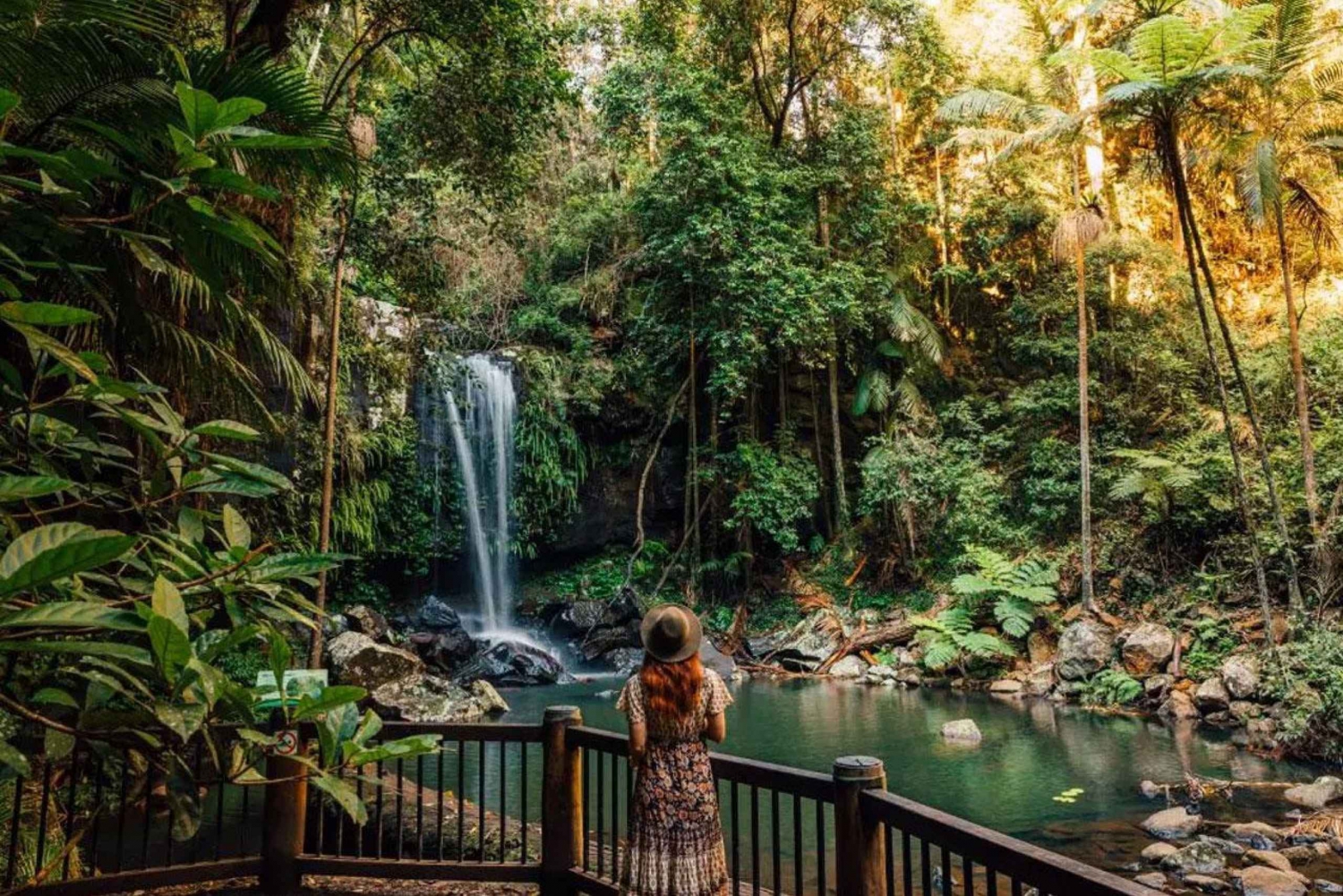 Brisbane: Hop on Hop off Bus to Tamborine Mountain