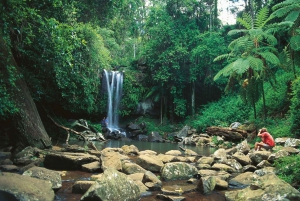 Brisbane: Hop on Hop off Bus to Tamborine Mountain