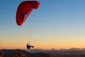 Brisbane: Hop on Hop off Bus to Tamborine Mountain