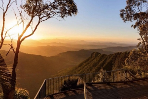 Brisbane: Hop on Hop off Bus to Tamborine Mountain