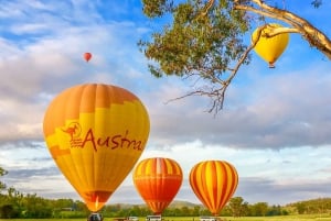 Brisbane: Hot Air Balloon Flight with Vineyard Breakfast