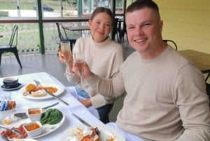 Brisbane: Hot Air Balloon Flight with Vineyard Breakfast