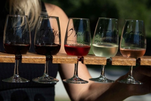 Brisbane: Hot Air Balloon Flight with Vineyard Breakfast