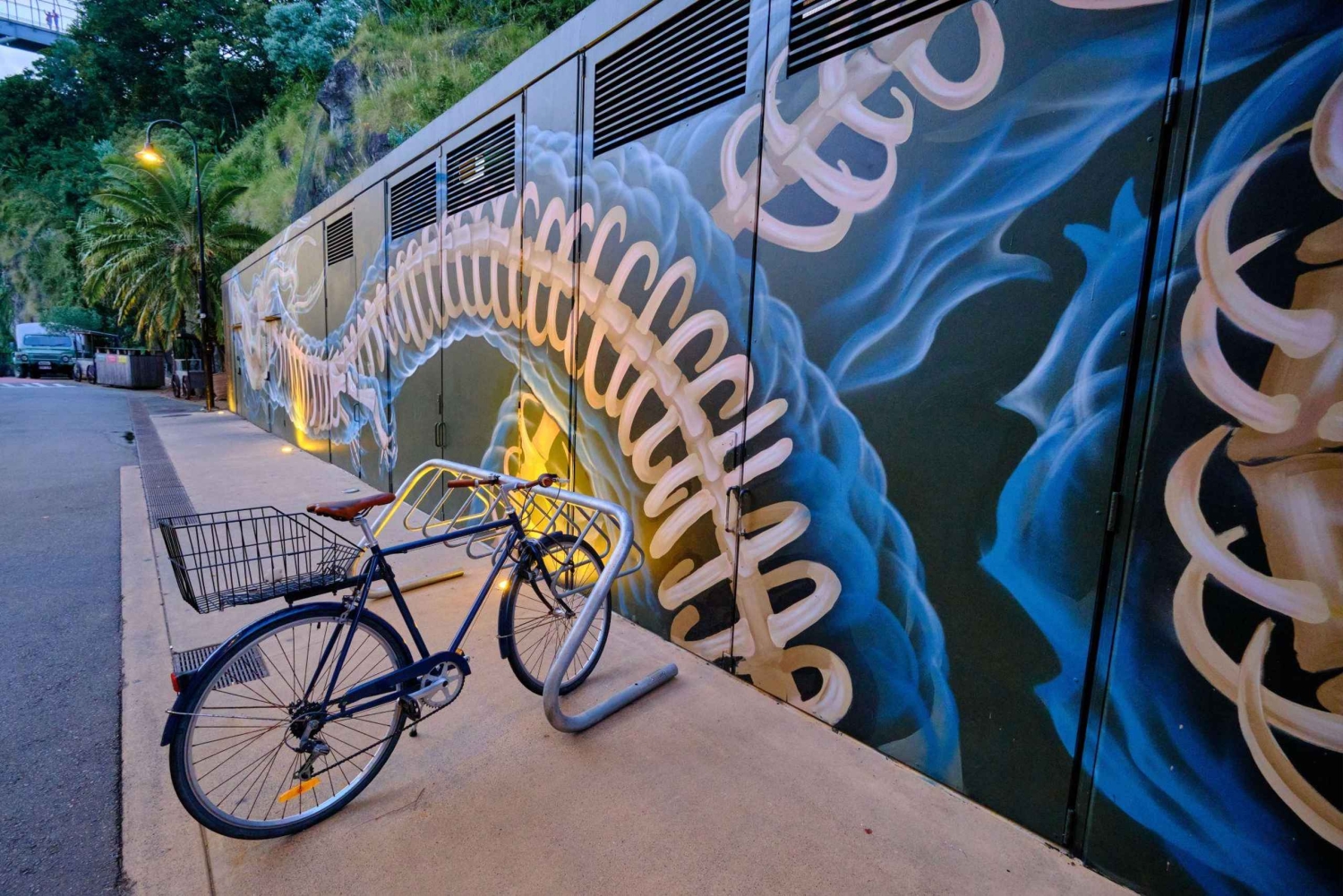 Brisbane: International Street Art Walking Tour