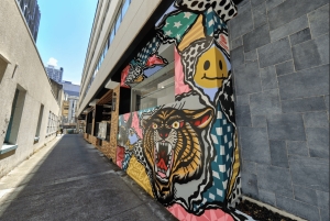 Brisbane: International Street Art Walking Tour