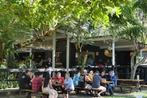 Brisbane: Island Pub Crawl with Lunch and High-Speed Boat