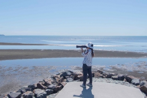 Brisbane: Kangaroos, Birds and Mangroves Coastal Tour