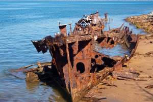 Brisbane: Kangaroos, Birds and Mangroves Coastal Tour