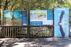 Brisbane: Kangaroos, Birds and Mangroves Coastal Tour