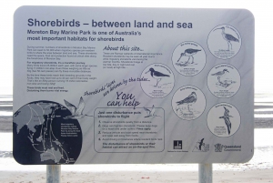 Brisbane: Kangaroos, Birds and Mangroves Coastal Tour