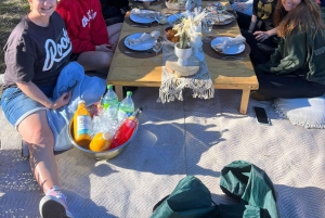 Brisbane Luxurious pop up picnic at the City Botanic gardens