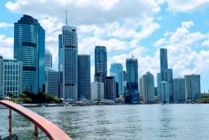 Brisbane: Midday River Sightseeing Cruise