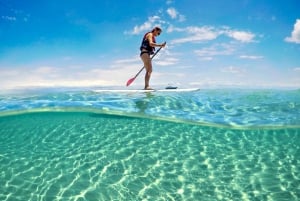 Brisbane: Moreton Island Return Ferry & Adventure Day Pass