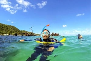 Brisbane: Moreton Island Return Ferry & Adventure Day Pass