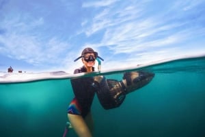 Brisbane: Moreton Island Return Ferry & Adventure Day Pass