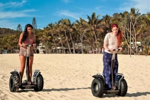 Brisbane: Moreton Island Return Ferry & Adventure Day Pass